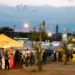 Festival della Vernaccia di Solarussa