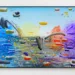 Giovanni Manunta Pastorello, Multicolor, 2026