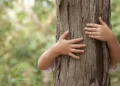 ©Depositphotos